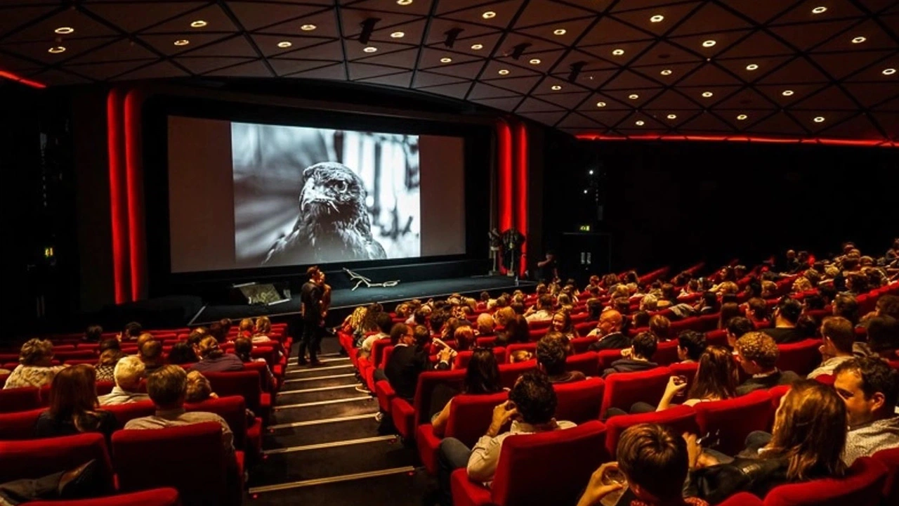 Sinema İzleyicisi Yerli Film Tercih Ediyor