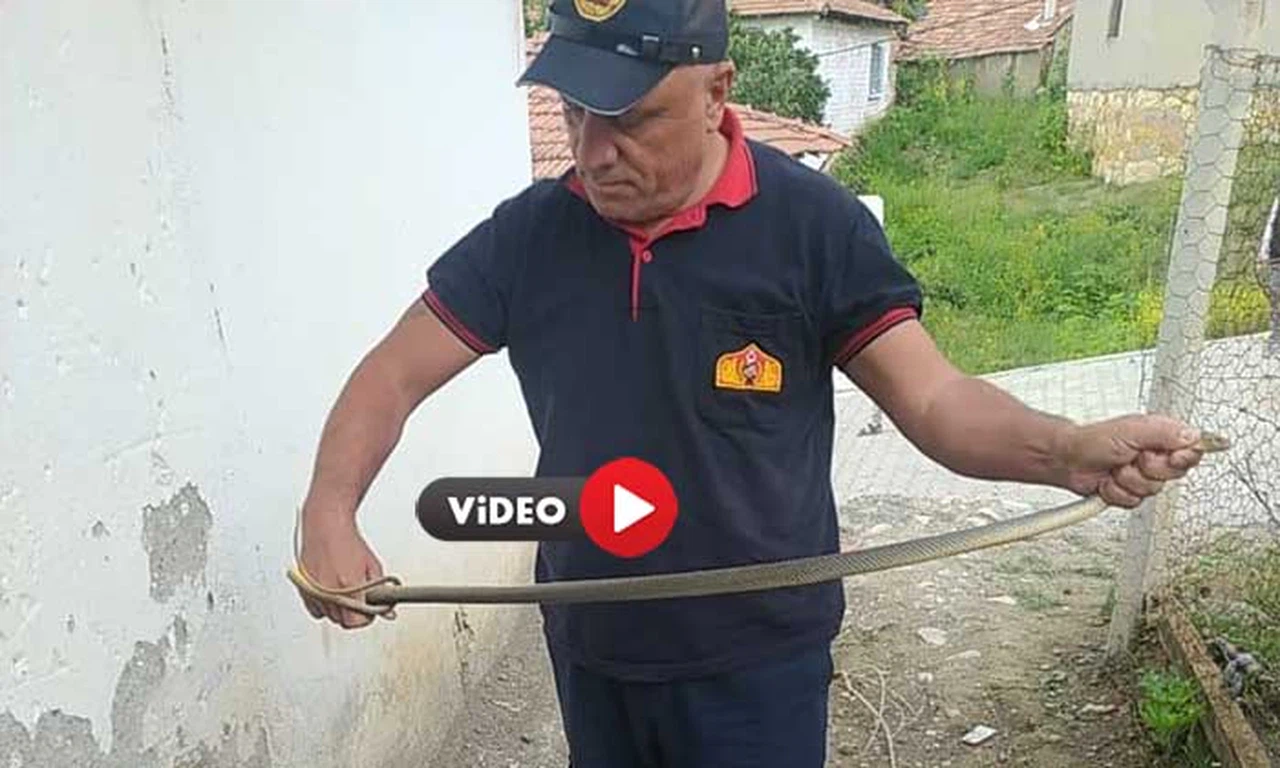 Su Saatine Giren Yılan Paniğe Neden Oldu