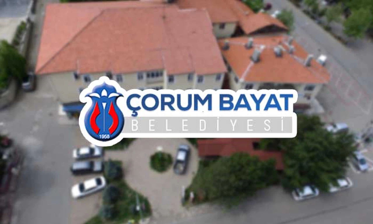 Bayat Belediyesinden Sokak Köpekleri Açıklaması