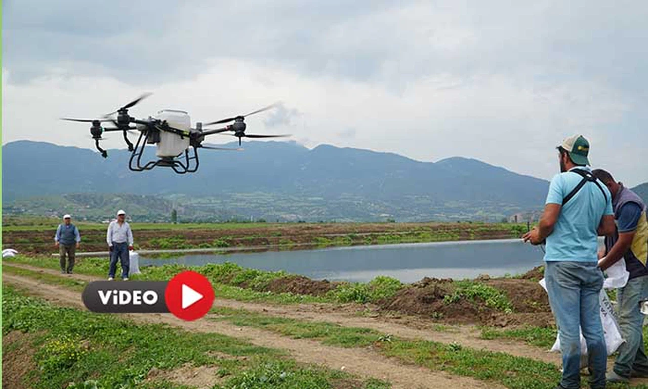 Çeltik Üretimine Drone Dopingi