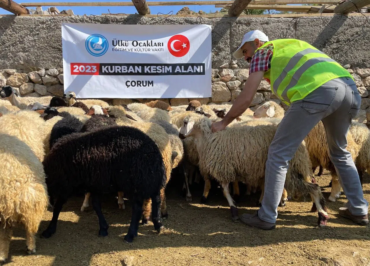 200 Kurban, İhtiyaç Sahiplerine Ulaştırıldı