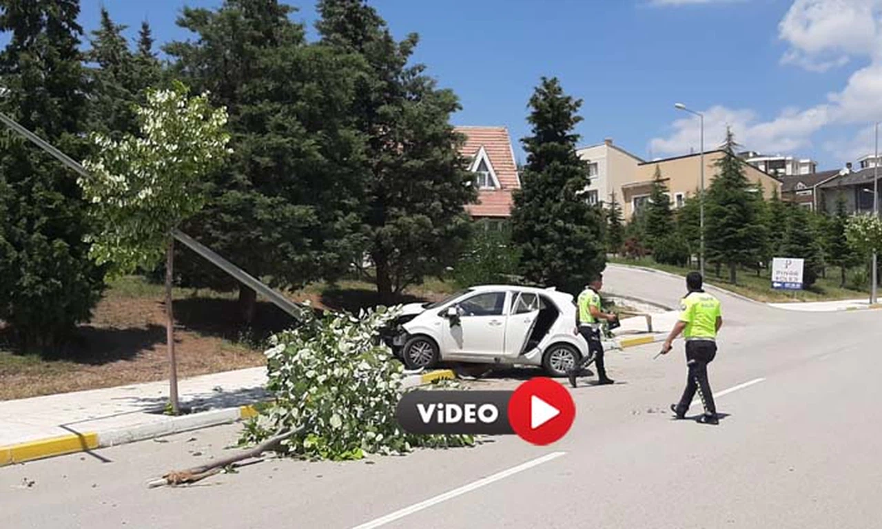 Ağaçlara ve Aydınlatma Direğine Çarpan Araçtaki İki Kişi Yaralandı