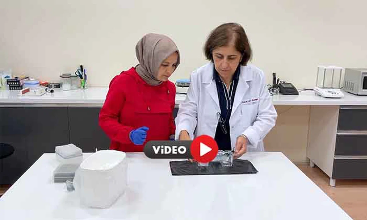Akademisyenler Doğal Gıda Boyasıyla Renkli Süt Ürünleri Geliştirmeyi Hedefliyor