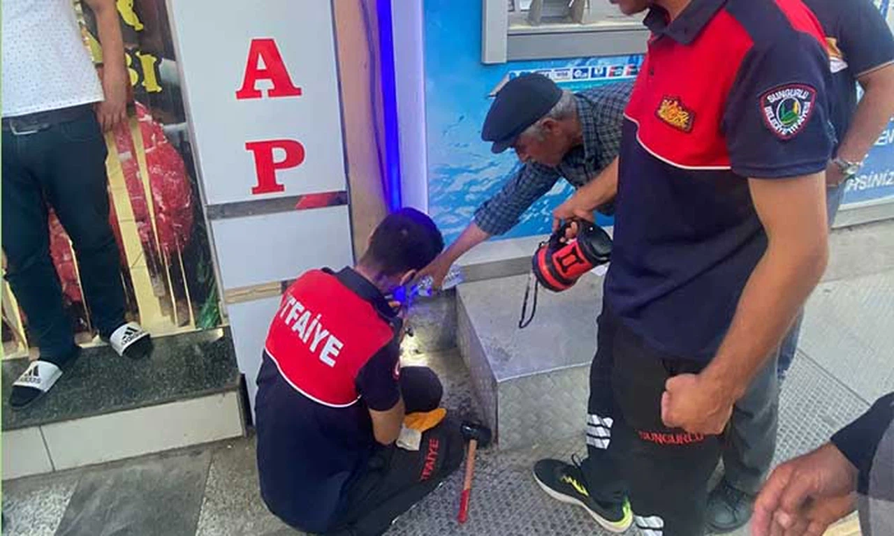 ATM’ye Sıkışan Kedinin İmdadına İtfaiye Yetişti