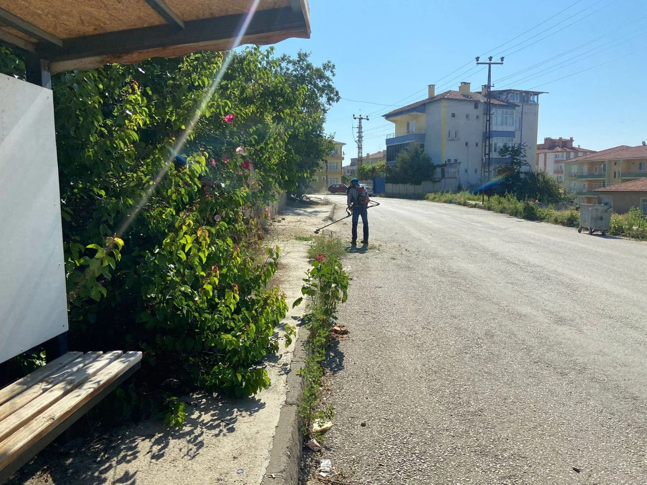Belediye Ekipleri İlçedeki Yabani Otları Temizliyor