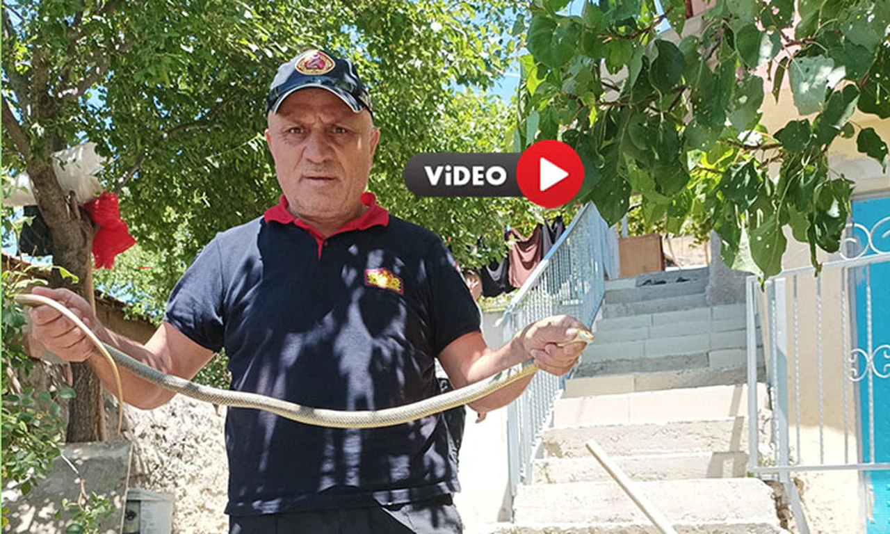 Eve Giren Yılan Paniğe Neden Oldu