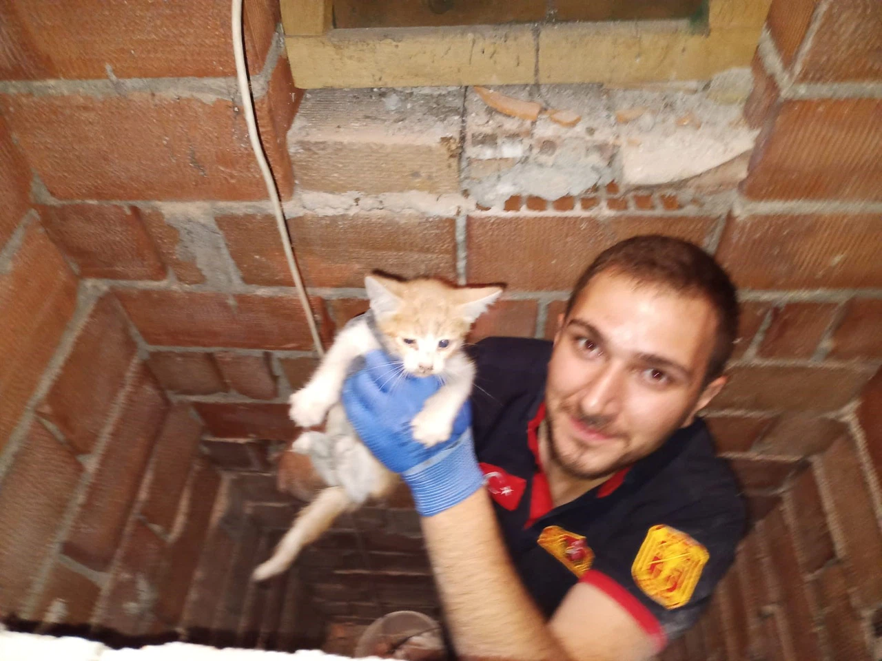 Havalandırmaya Düşen Kediyi İtfaiye Kurtardı