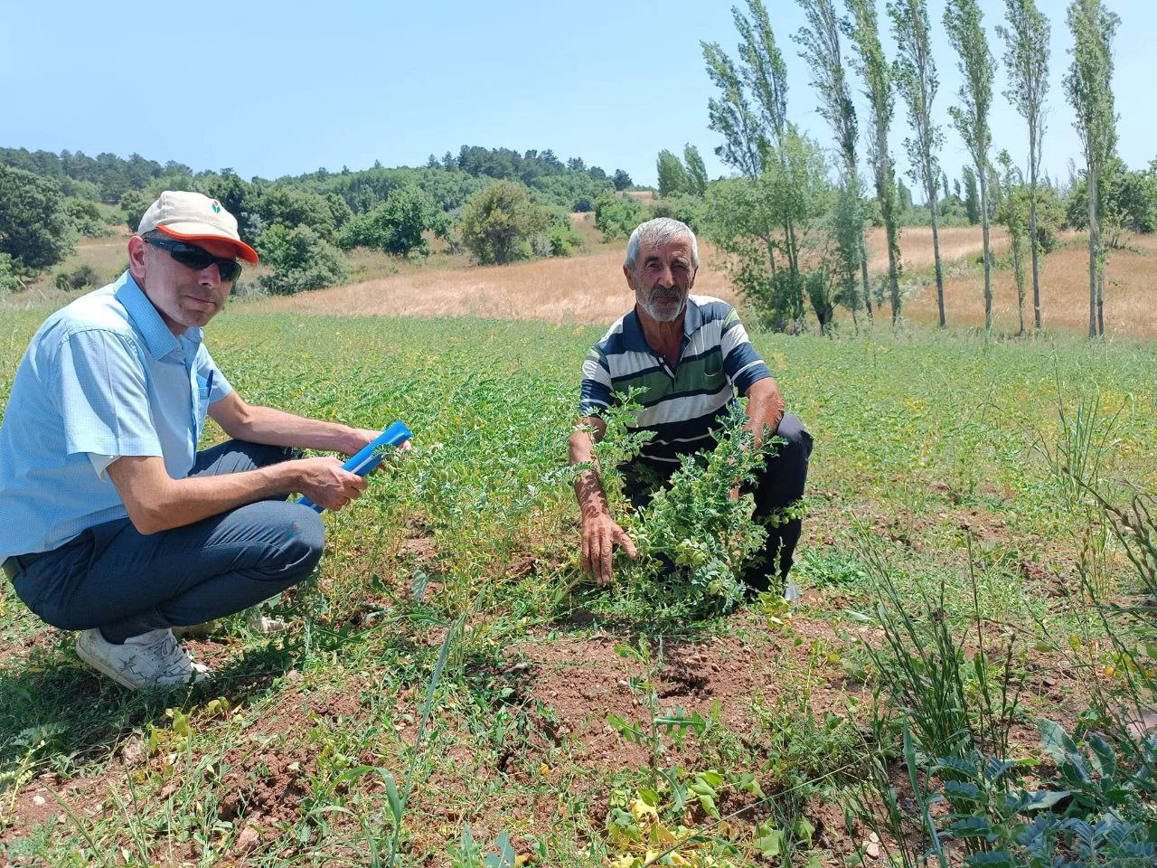 Hibe Tohumdan Üretilen Ürünlerin Gelişimi Denetlendi