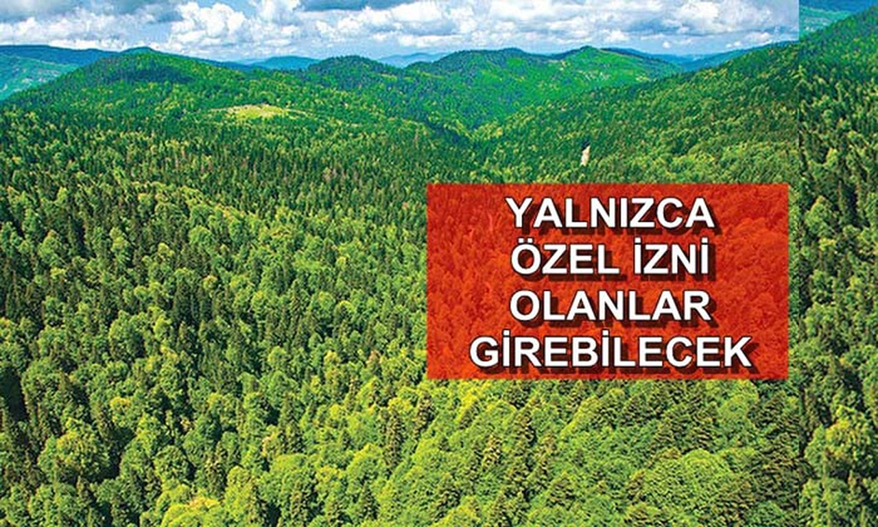 Dikkat: Ormanlık Alanlara Giriş Yasaklandı