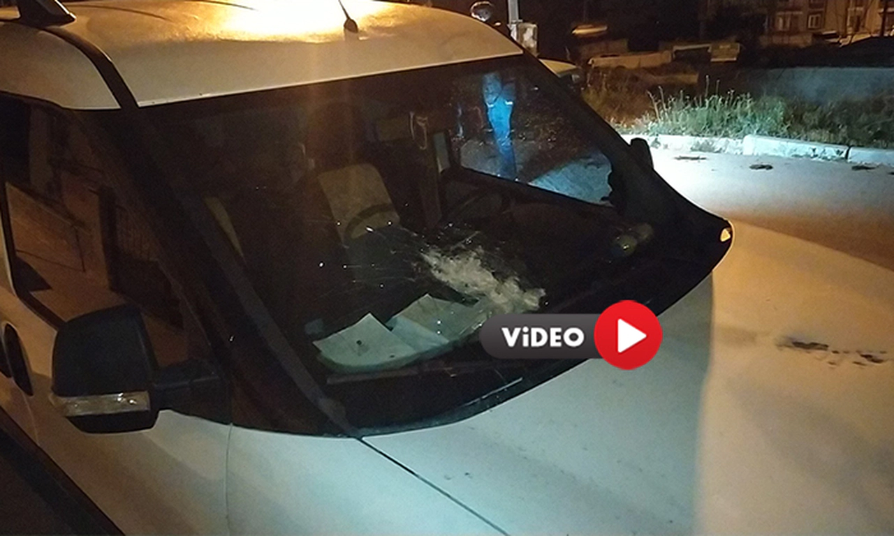 Park Halindeki Aracı Kurşuna Tuttular