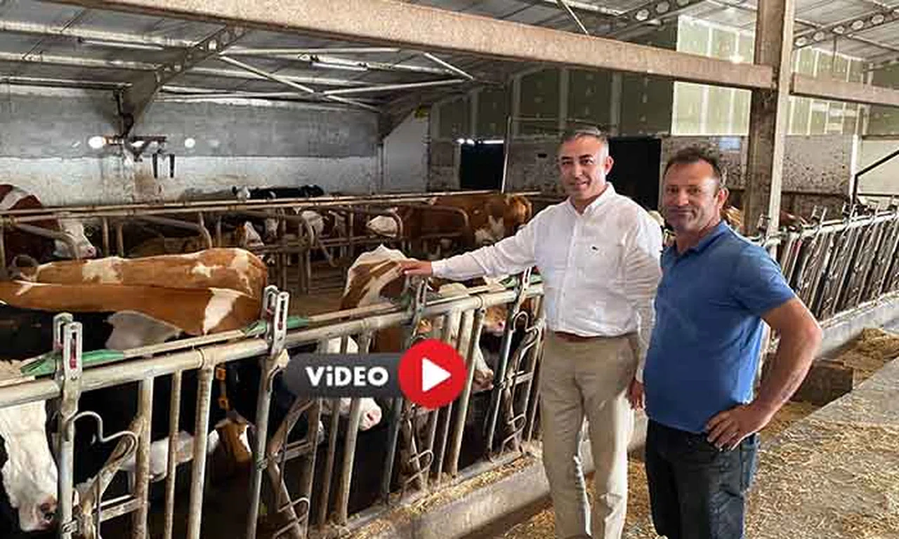  “Çiğ Sütteki Artış %35 Değil  %9.5”