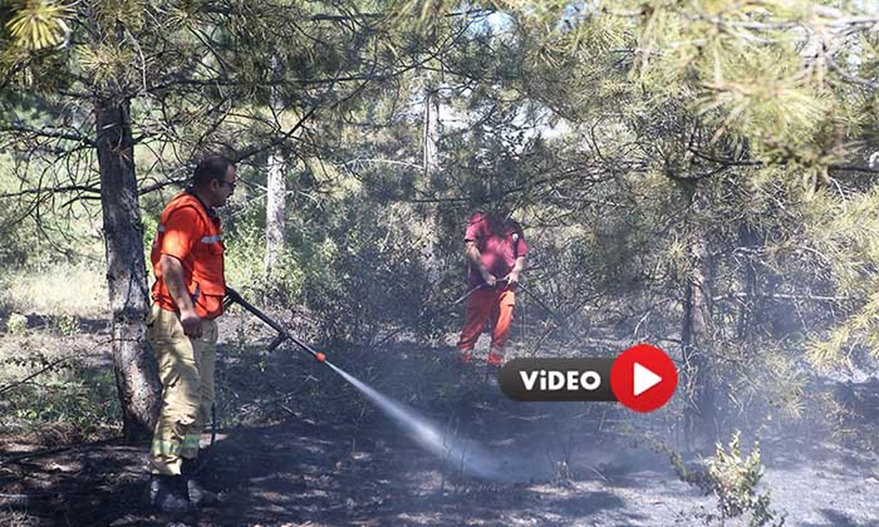 Ormanlık Alanda Çıkan Örtü Yangını Söndürüldü