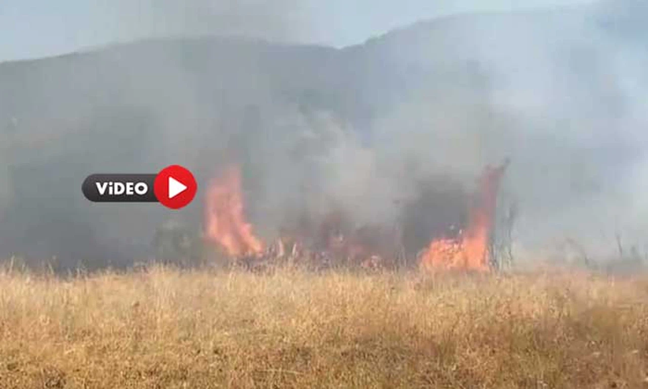 Laçin’de Yangın