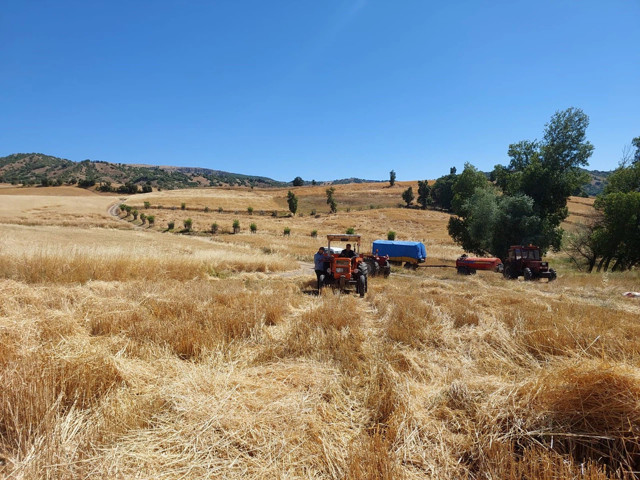 3 Yılda 4,5 Milyon Dekar Atıl Arazi Üretime Kazandırıldı