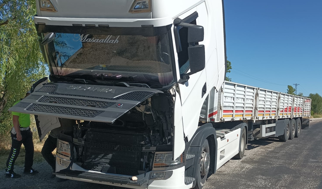 Sıkıştığı Tırda Yaklaşık 170 Kilometre Seyahat Eden Kediyi Polis Kurtardı
