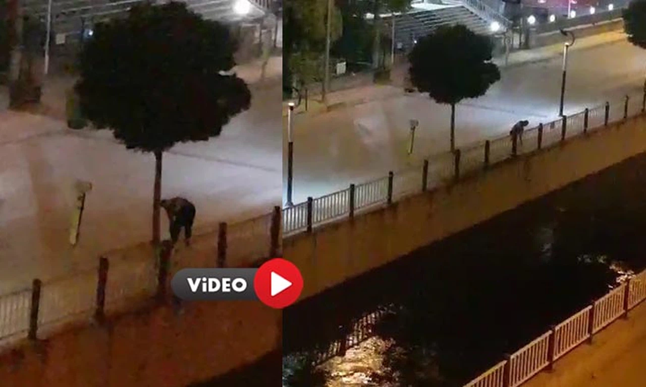 Irmaktan Kovalarla Su Çekerek Ağaçları Suladı