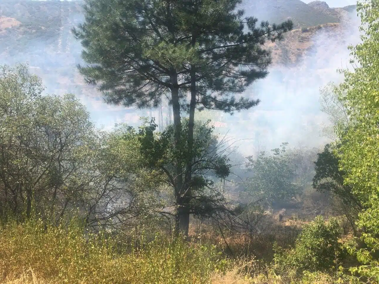 Bayat’ta Yangın