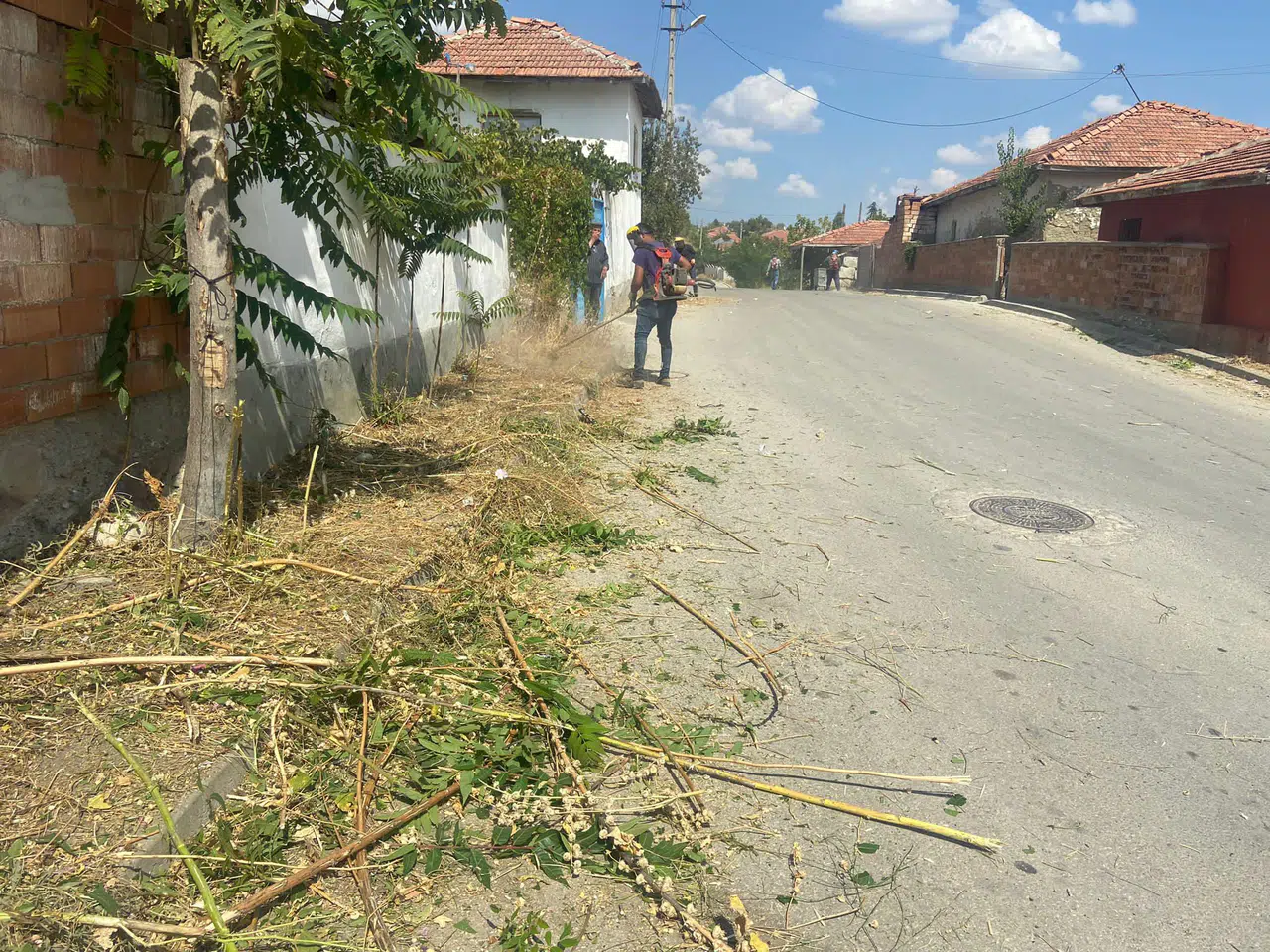 Sungurlu’da Ot Biçme Çalışmaları