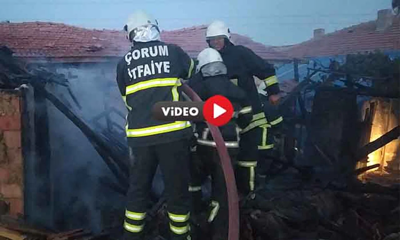  Tandırda Çıkan Yangın Korkuttu