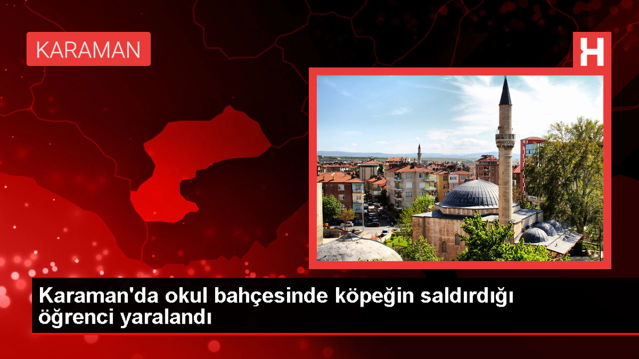 Karaman'da Okul Bahçesinde Köpeğin Saldırdığı Öğrenci Hastaneye Kaldırıldı