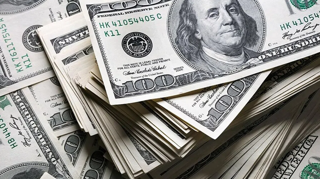 Dolar 24 Liraya Mı Düştü? Google'ın Kusuru Ortalığı Karıştırdı