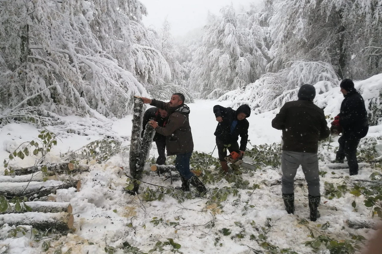 Bolu'da Yayla Yolunda Mahsur Kalan 4 Kişinin Yardımına Ormancılar Yetişti