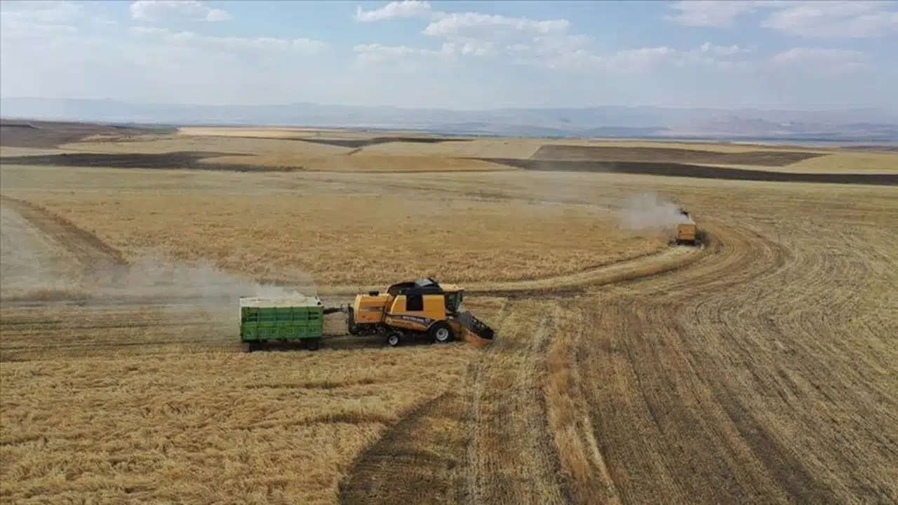 Çiftçilere 47,2 Milyon Liralık Tarımsal Destek Ödeniyor