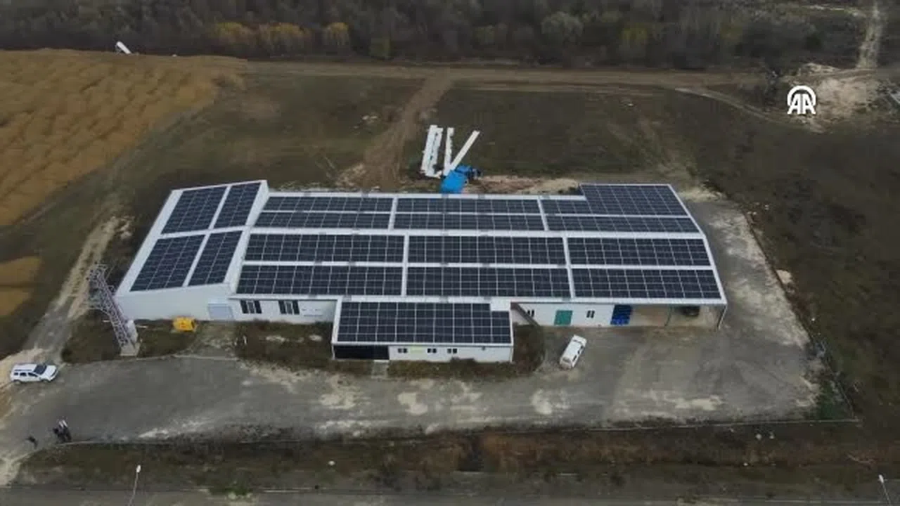 Dosya Haber/Tarımda Yenilenebilir Enerji Atağı - Kastamonu'da Sarımsak Fabrikasının Enerjisi Güneşten Karşılanıyor