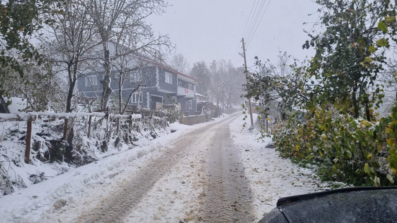 Düzce'de Sağanak Nedeniyle Su Baskınları Yaşandı, Kar Yağışı Ulaşımı Aksattı
