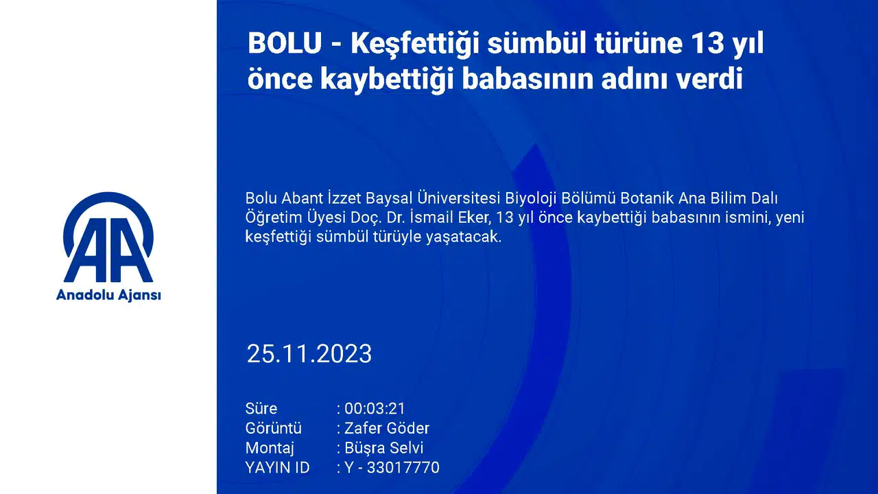 Keşfettiği Yabani Soğan Türüne 13 Yıl Önce Kaybettiği Babasının Adını Verdi