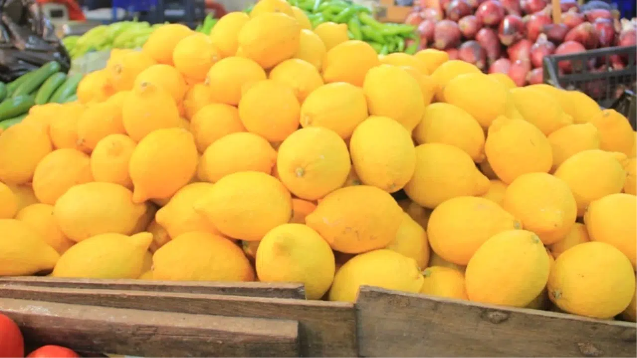 Limonun Fiyatı Ekim Ayında Tarladan Markete Gelene Kadar Yüzde 683 Arttı