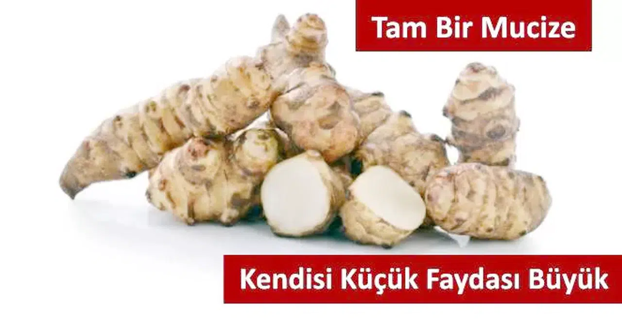 Yer Elmasının Sağlığa Olan 15 Etkisi