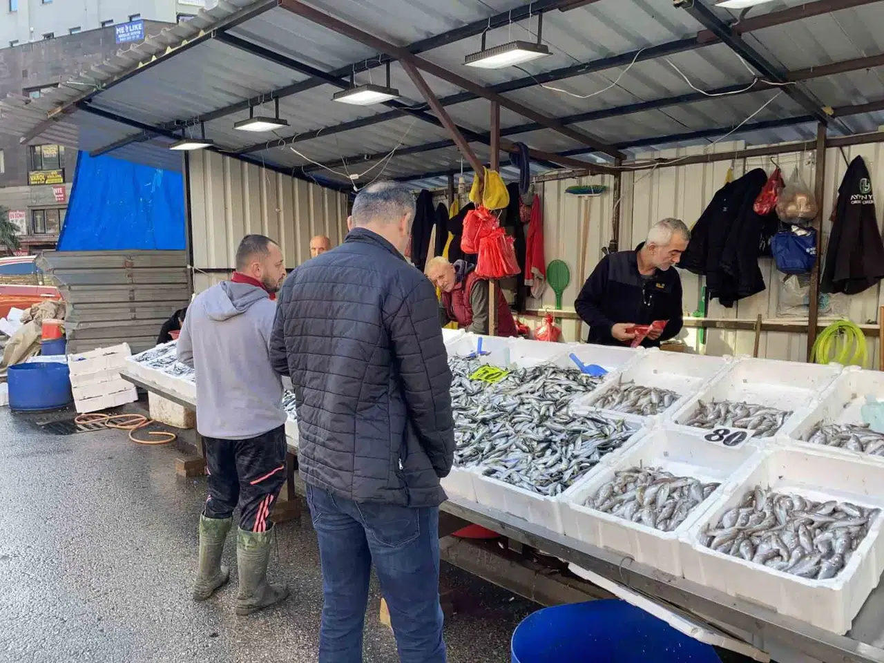 Balık Fiyatları Fikir, Ağır İlgi Başladı