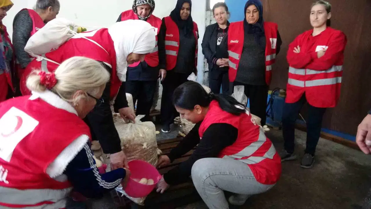 Dezavantajlı Bayanlar İstiridye Mantarı Üreterek Kazanıyor