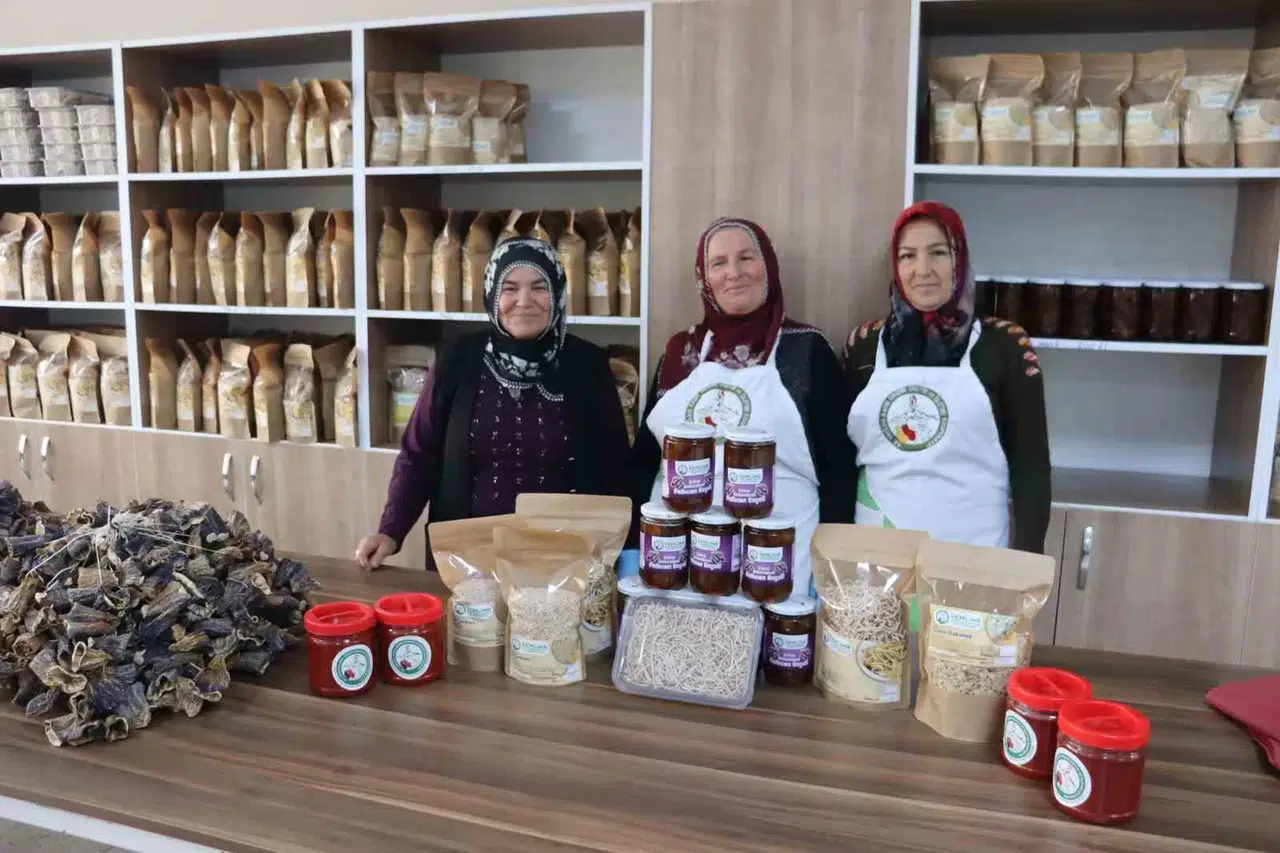 En Lezzetli Kışlık Eserler Bayanların Ellerinden