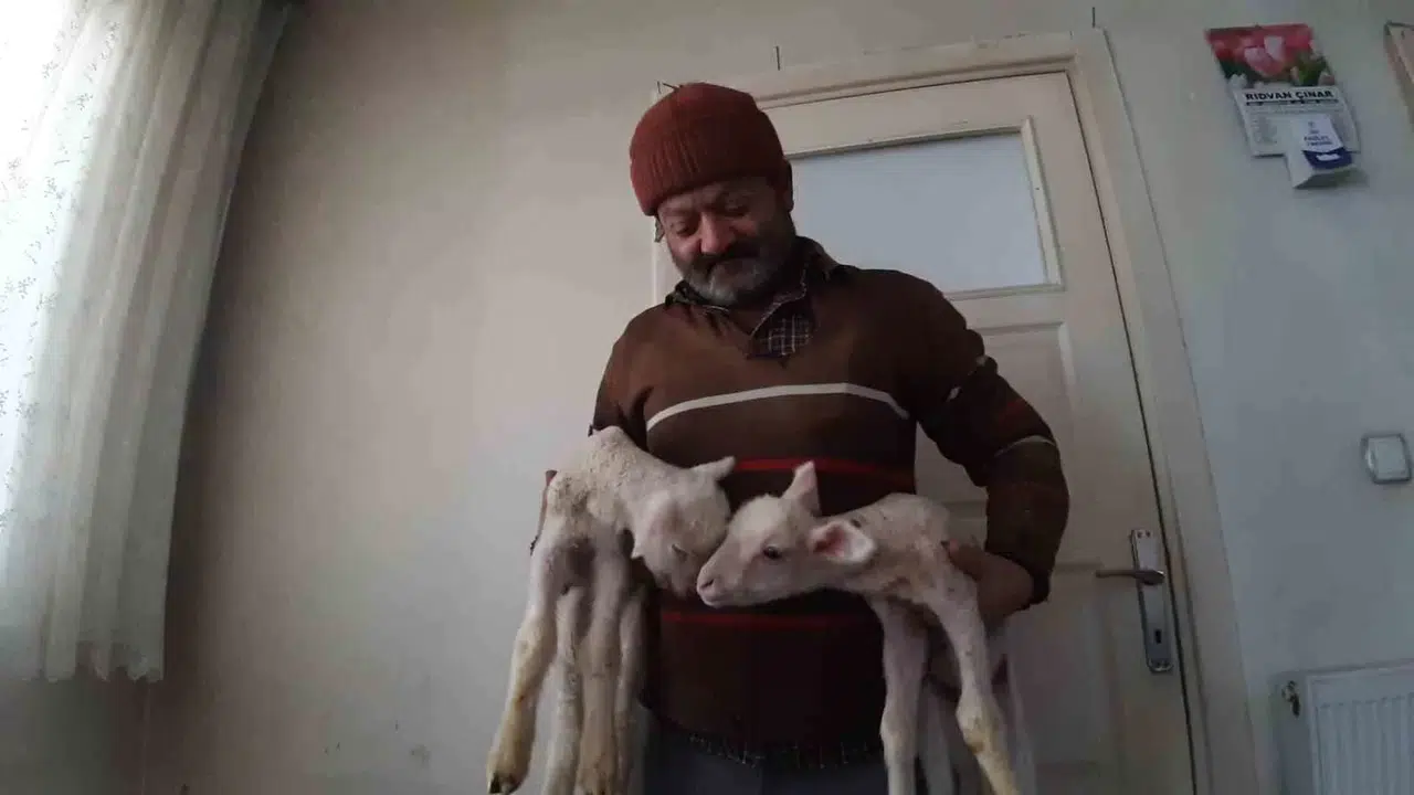 İkiz Kuzular Konutun Maskotu Oldu