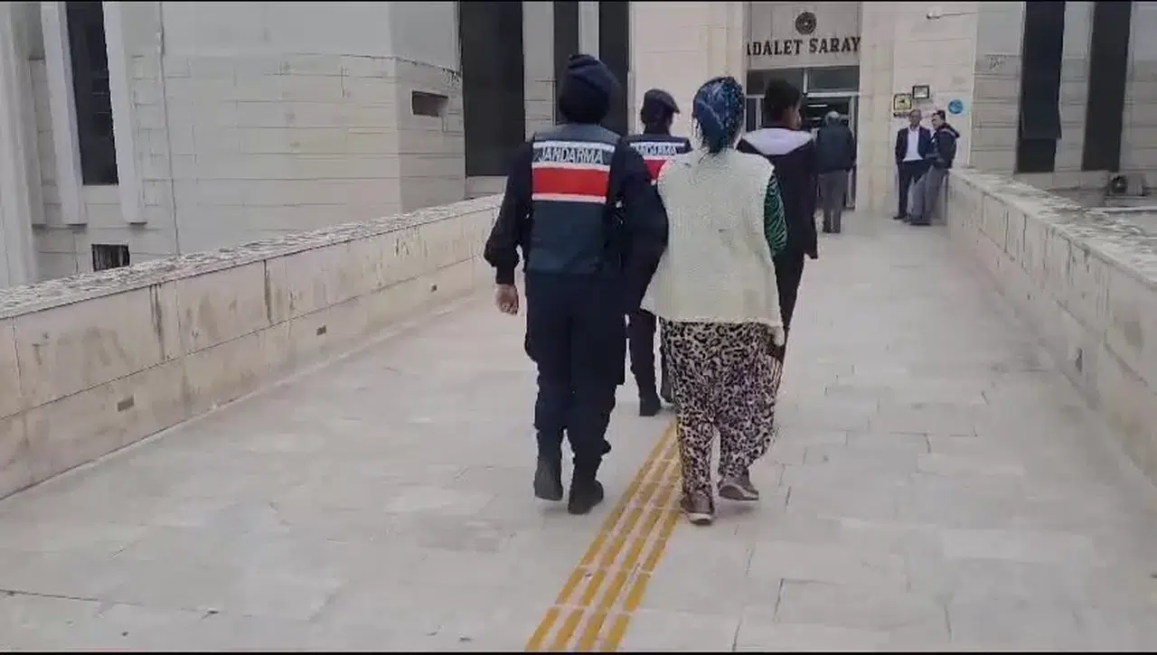 Jandarmadan Zeytin Hırsızlarına Gece Baskını...2 Kişi Gözaltına Alındı