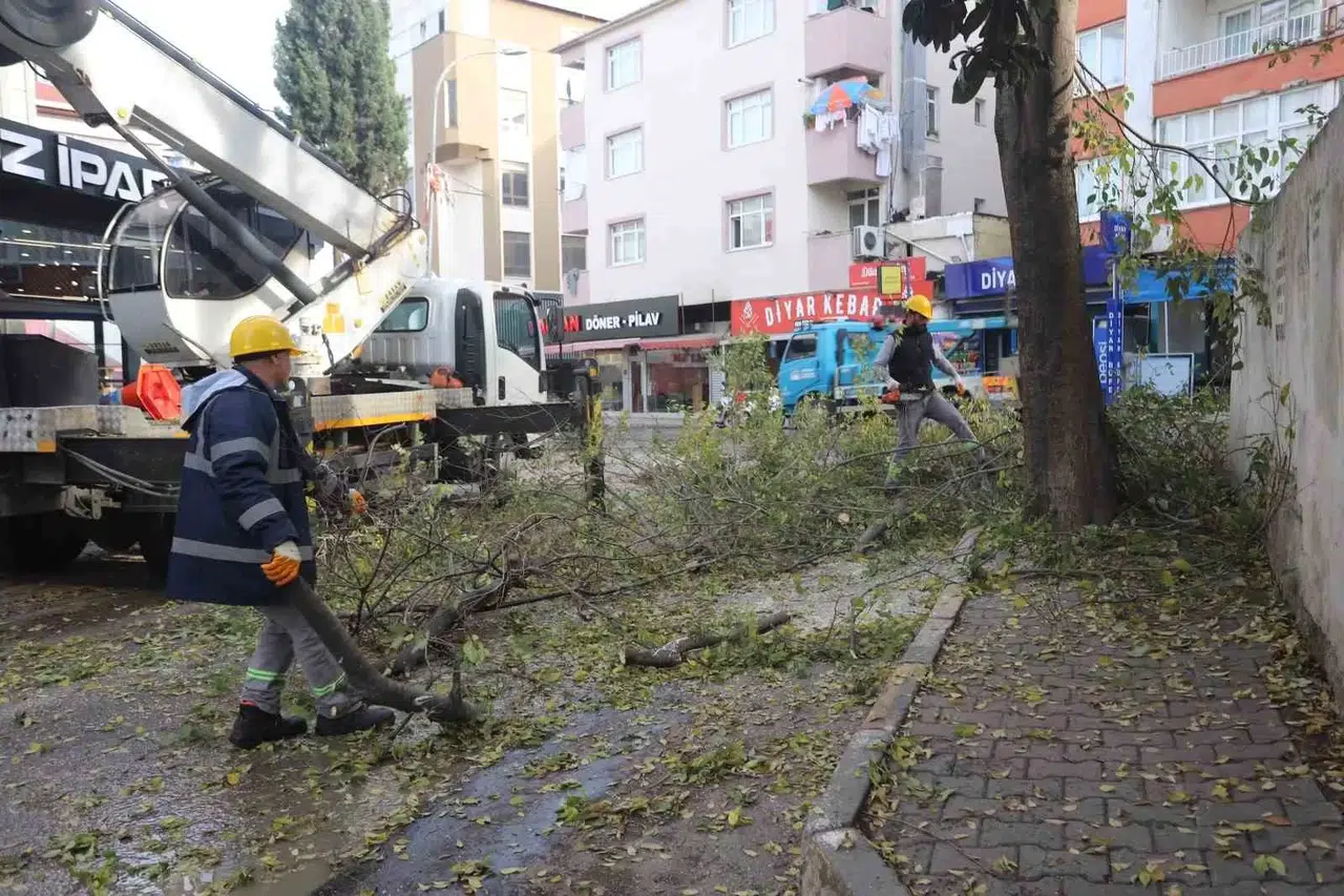 Kartal’da Ağaç Budama Çalışmaları Devam Ediyor
