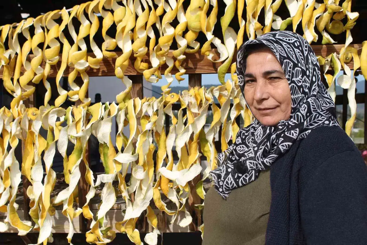 Kolundan Kilosu 30 Kuruş, Kabuğu 17 Lira