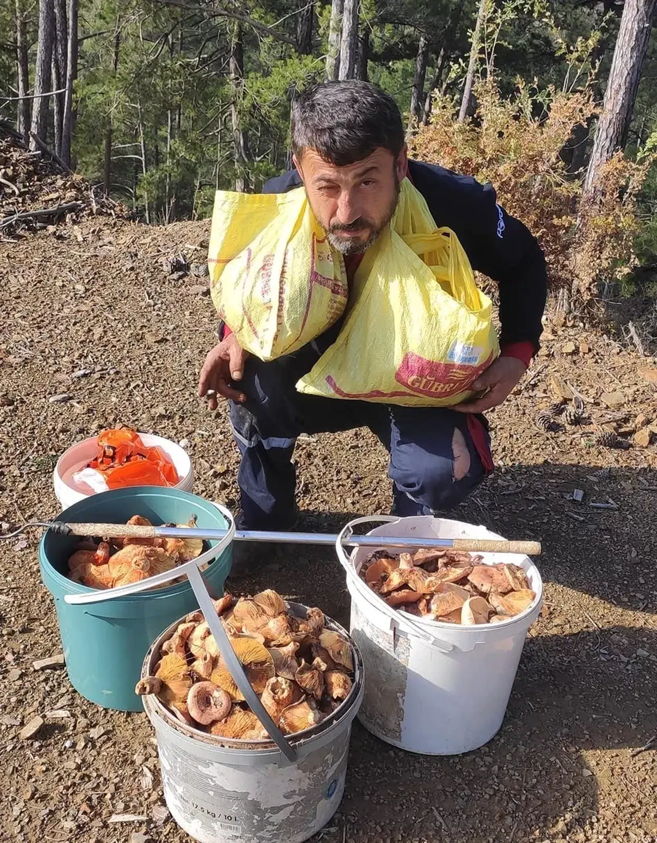 Mevsiminde Topladığı Mantarları Satarak Ayda Yaklaşık 90 Bin Lira Kazanıyor