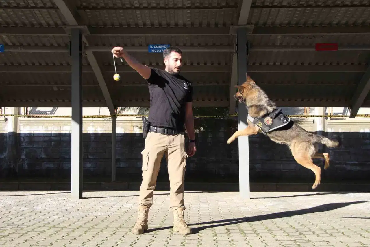 Polisin En Büyük Destekçisi Dedektör Köpekler