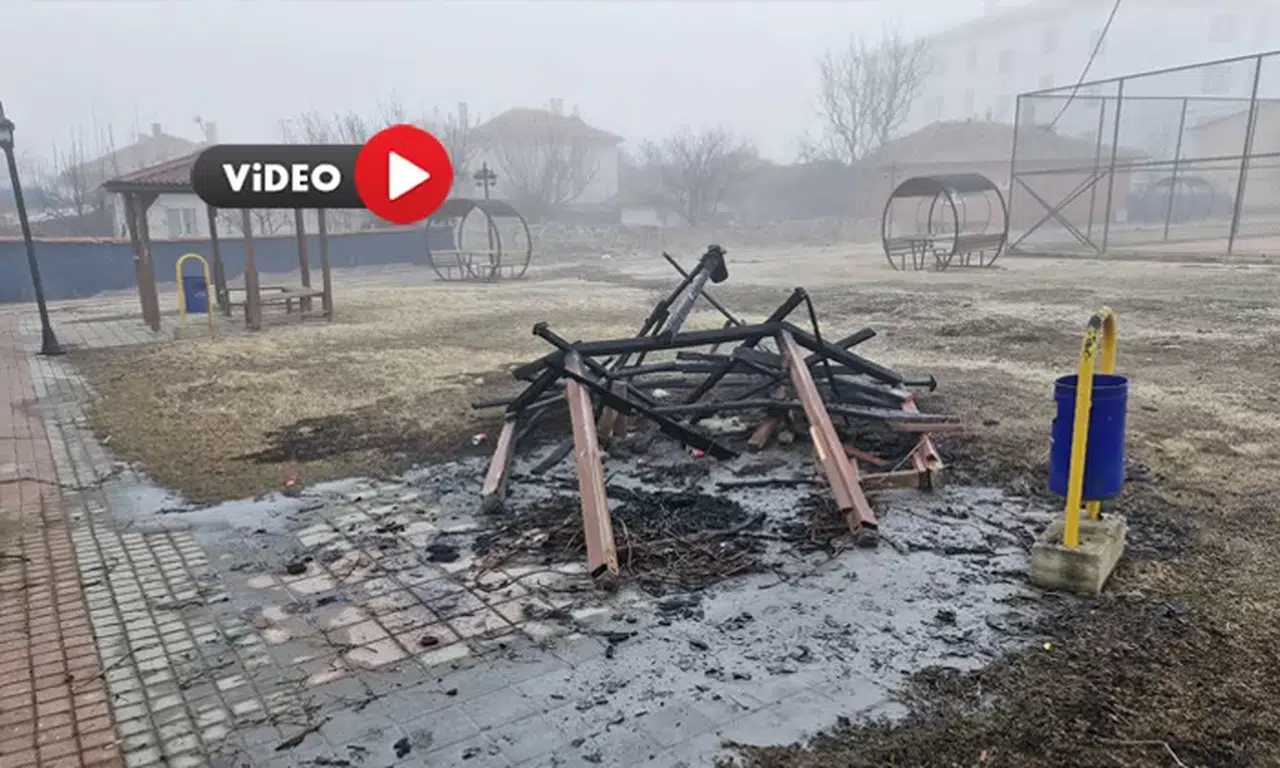 Magandalar İş Başında, Kamelyayı Böyle Yaktılar