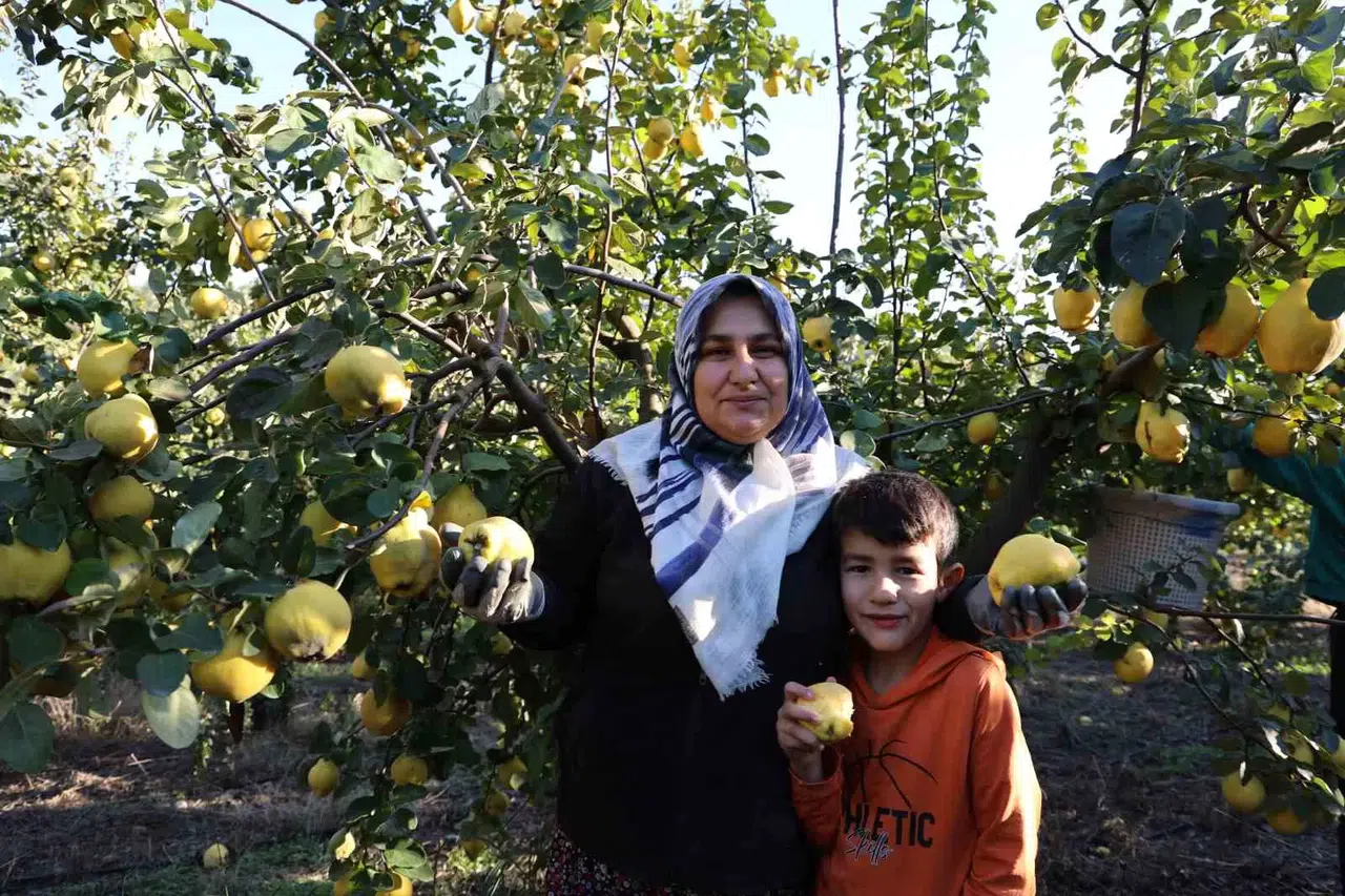 Rusya’nın Ayvası Kahramanmaraş’tan