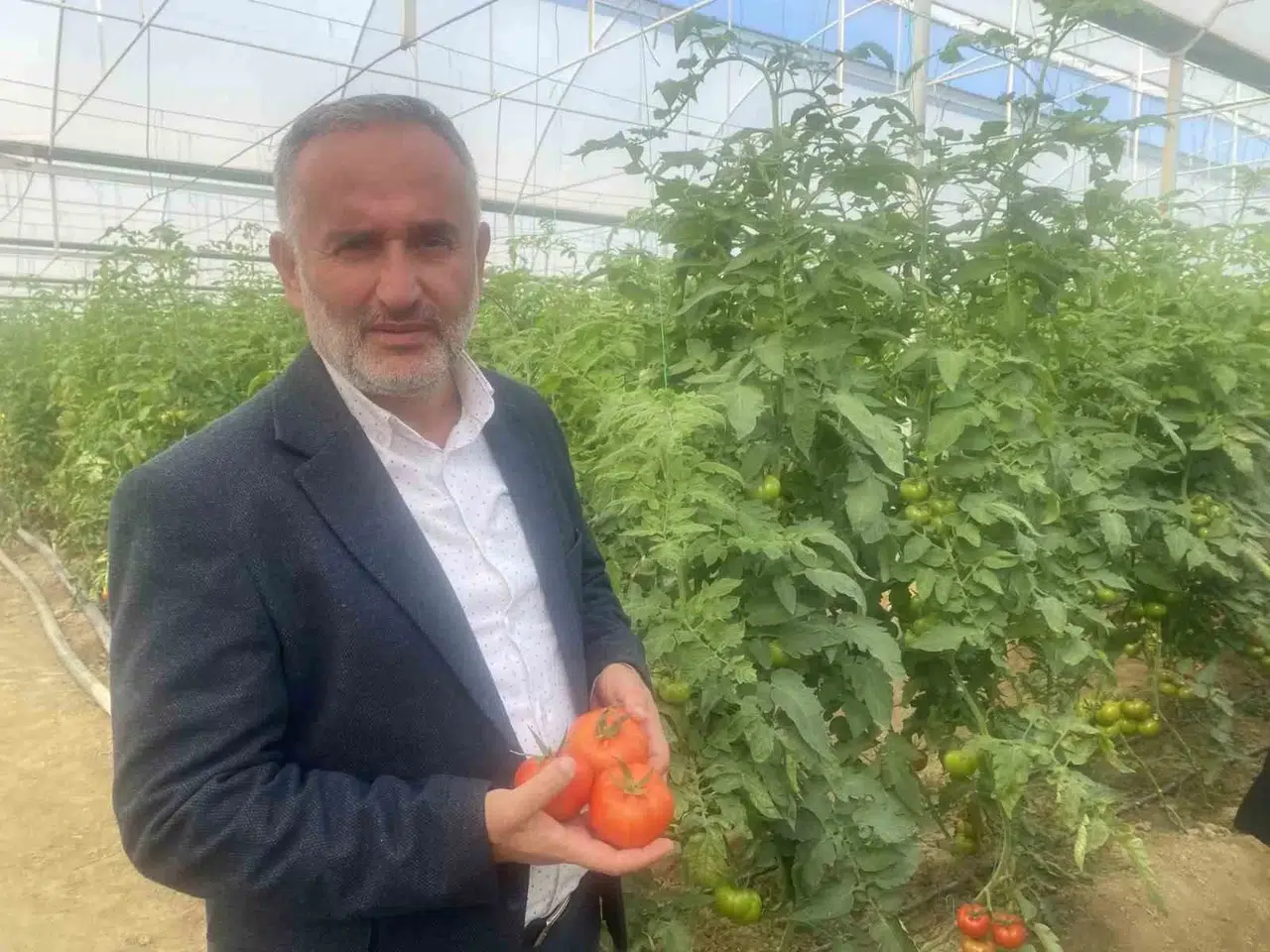 Yerli ve Ulusal 50 Çeşit Hibrit Tohumu 35 Ülkeye İhraç Ediyor
