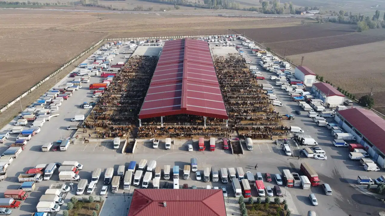 Çorum’da Hayvan Pazarı Kapatıldı, İşte Detaylar