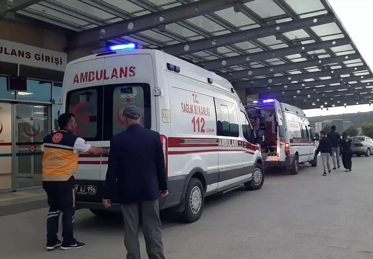 Genç Çiftçi, Kazara Kendini Vurdu
