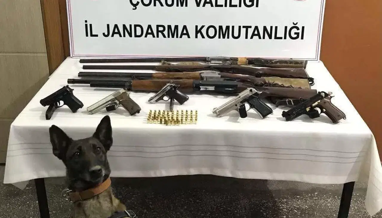 Jandarmadan Ruhsatsız Silah Operasyonu