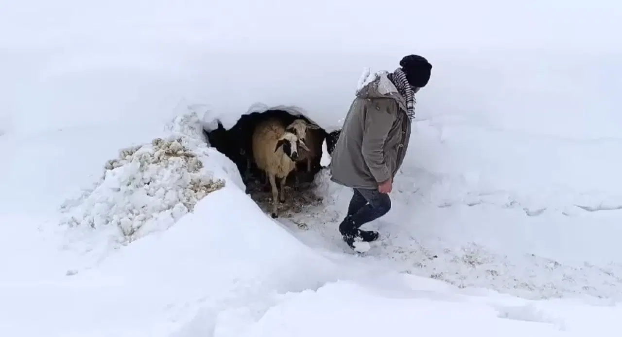 Bahçesaray’da Kar Tesirli Oluyor