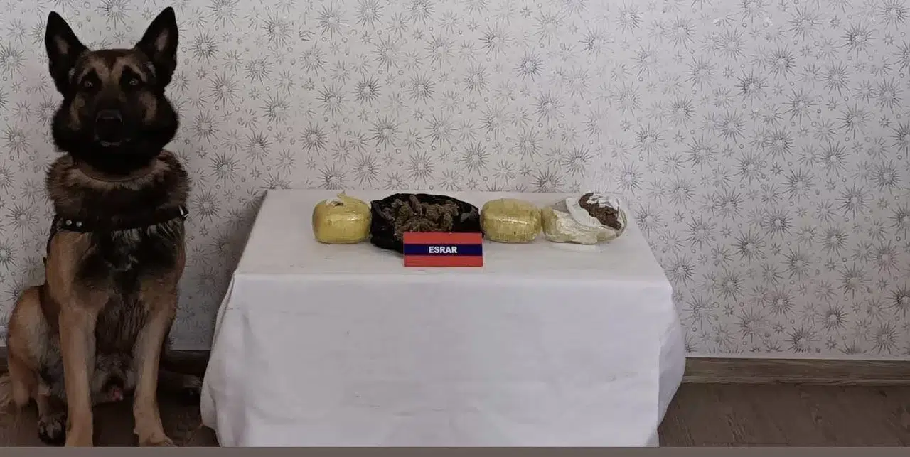 Bebek Maması Kutusundan Uyuşturucu Çıktı
