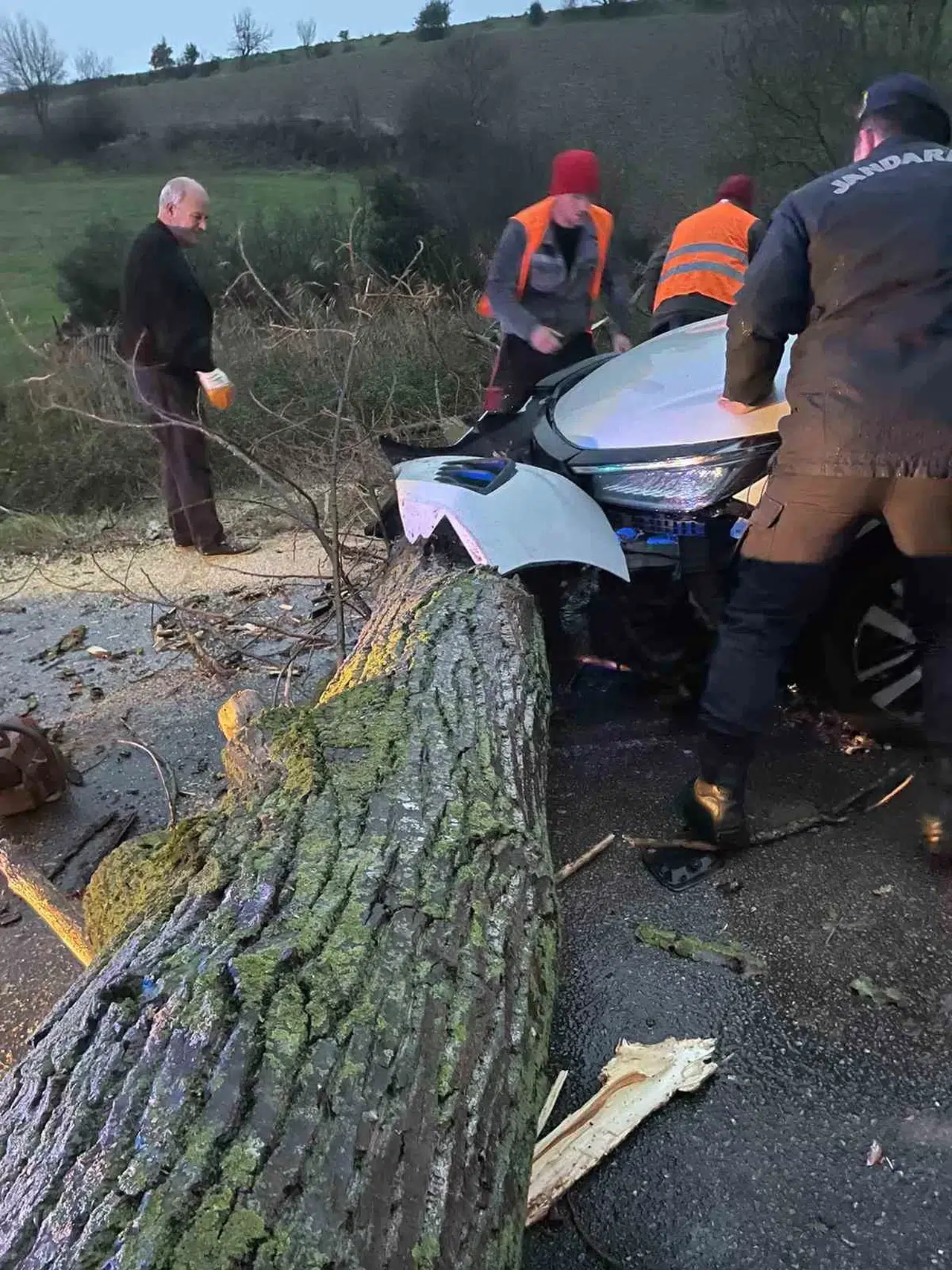 Biga’da Araba Fırtına Nedeniyle Yola Devrilen Ağaca Çarptı